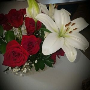 Meet your Posher, Shannon